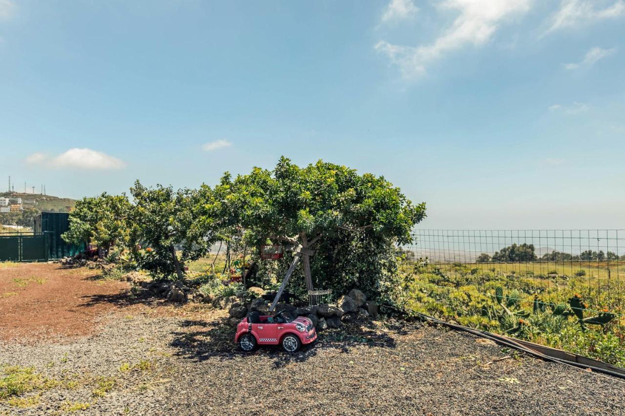 Buhardilla Armonia Rural Διαμέρισμα Granadilla De Abona Εξωτερικό φωτογραφία
